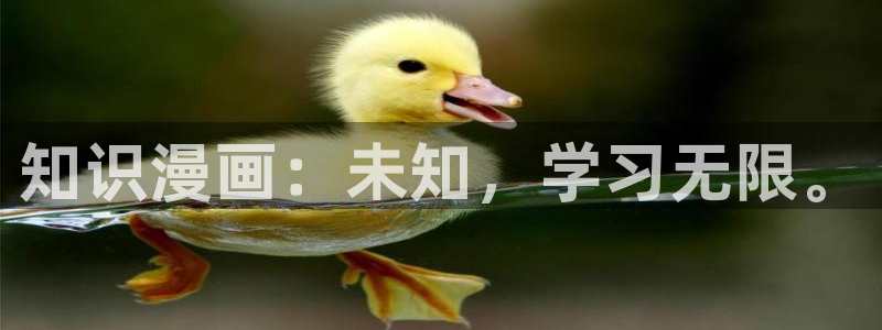 歪歪漫画免费我的