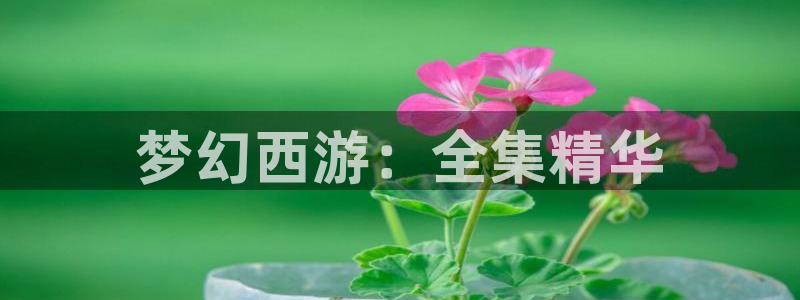 歪歪漫画免费漫画入口页面下拉式