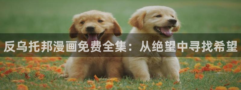 歪歪漫画网站页面入口弹窗