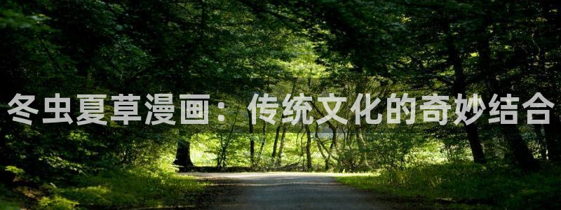 歪歪漫画观看入口